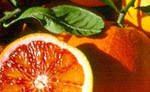 ricette - Arance al riso